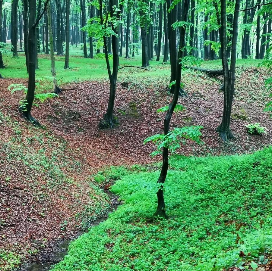 Ranczo W Dolinie Karpia - Blisko "Energylandii" Zator Villa Spytkowice  Eksteriør bilde